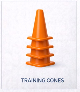 Training Cones